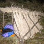 21 “Wild” Survival Shelter Ideas